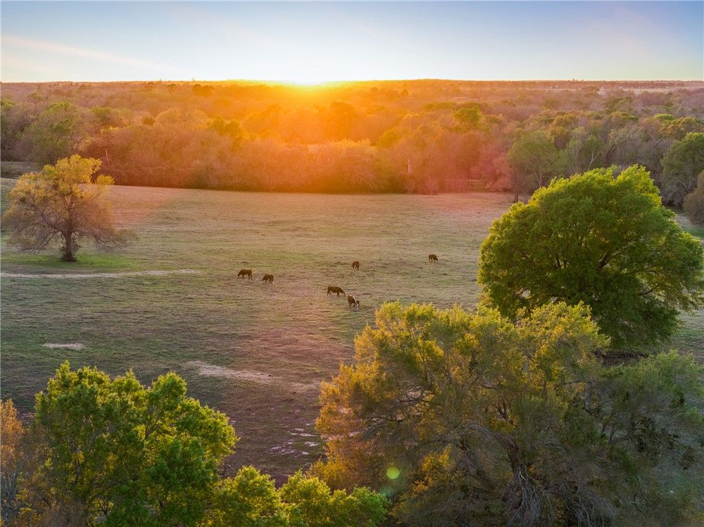 1580 County Road 377, Caldwell, TX 77836 — exterior