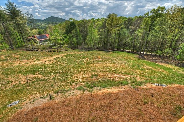 20B Twin Springs Road, Mineral Bluff, GA 30559