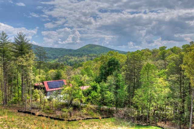 20B Twin Springs Road, Mineral Bluff, GA 30559