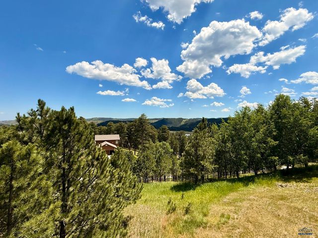 206 TOWER RIDGE DR, Lead, SD 57754