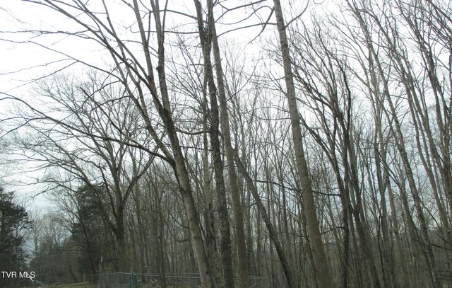 145 Rock City Road, Kingsport, TN 37664