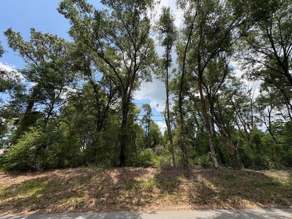 1132 CLOVER TERRACE, Inverness, FL 34452