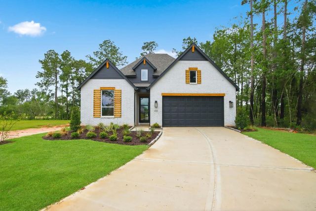 11502 Hooting Owl Drive, Montgomery, TX 77316
