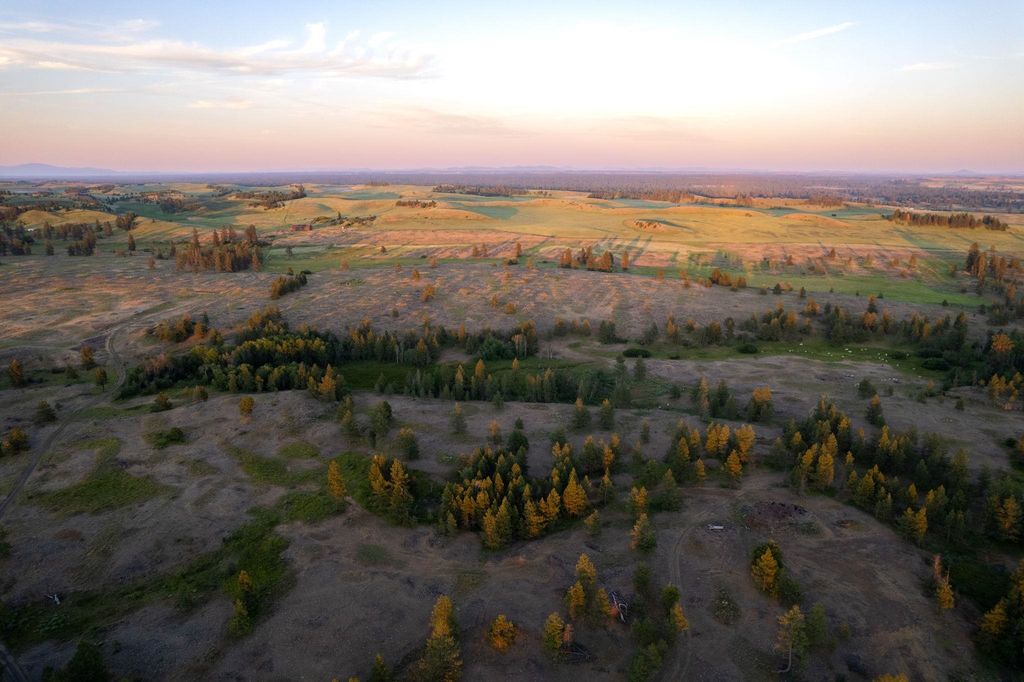 27000 Blk S Pine Springs Rd, Cheney, WA 99004 photo 20