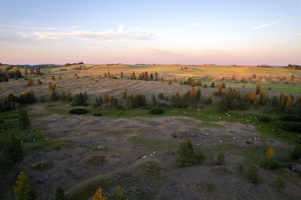 27000 Blk S Pine Springs Rd, Cheney, WA 99004 photo 21