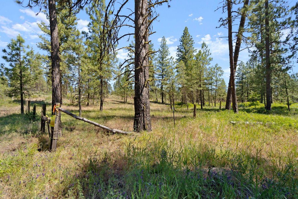 27000 Blk S Pine Springs Rd, Cheney, WA 99004 photo 29