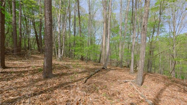 3 Thomas Farm Road, King, NC 27021