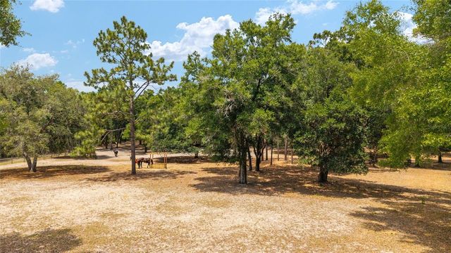 19551 SE 42ND PLACE, Morriston, FL 32668