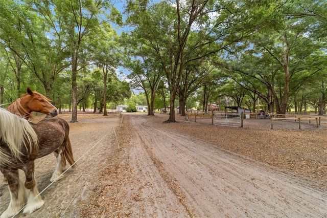 19551 SE 42ND PLACE, Morriston, FL 32668