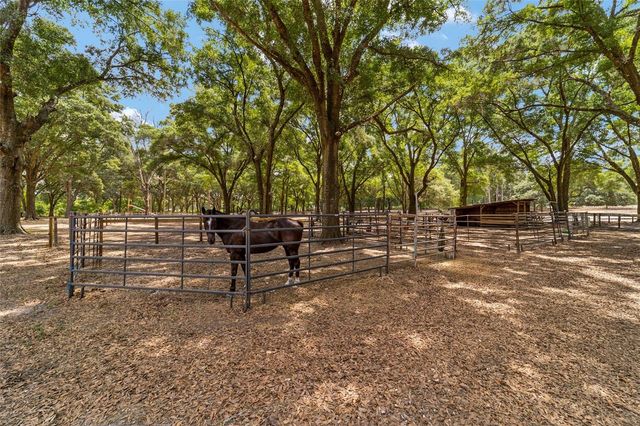 19551 SE 42ND PLACE, Morriston, FL 32668