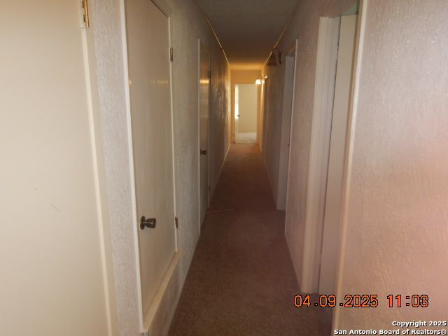 9704 Big Geronimo, San Antonio, TX 78254