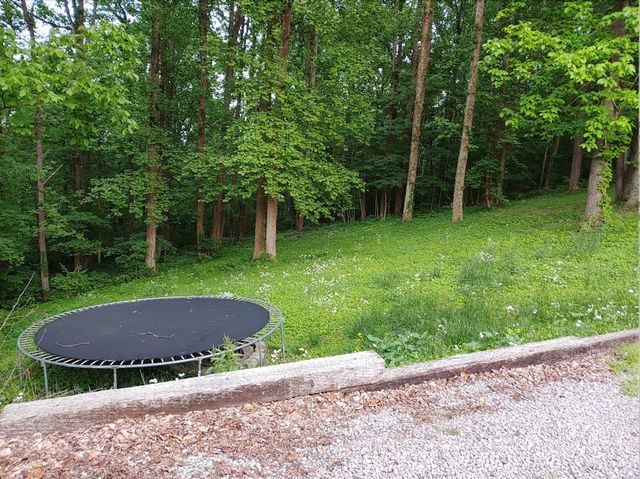 1010 Tyree Ct N, White House, TN 37188