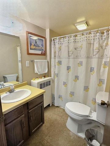 45 EVELINE STREET, Oshkosh, WI 54901