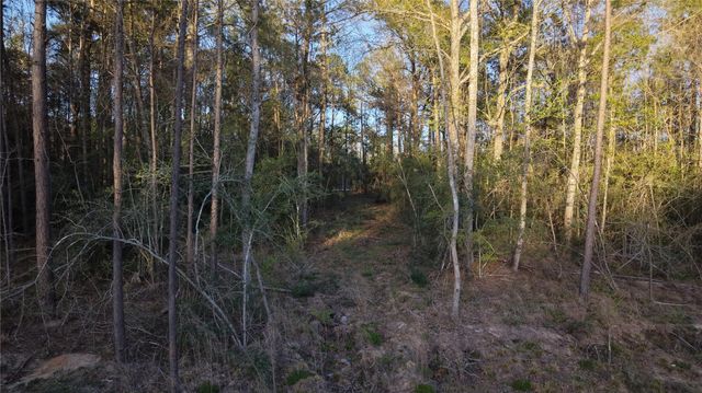 186 Bunkhouse Road, New Waverly, TX 77358