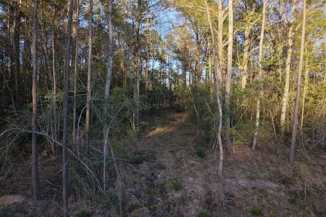 186 Bunkhouse Road, New Waverly, TX 77358