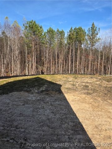 311 One Tree Hill, Sanford, NC 27330