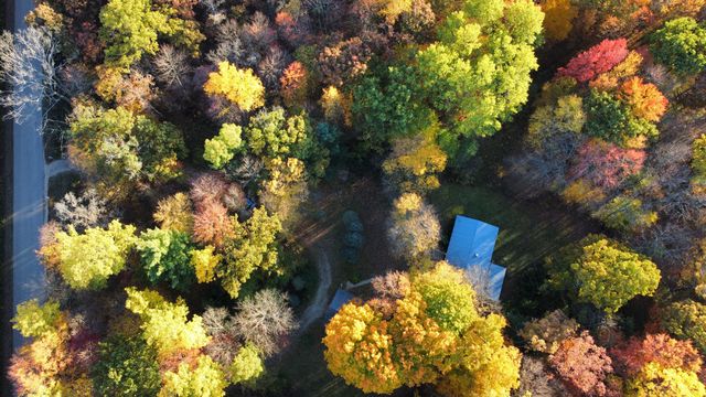 6987 S Pine Avenue, Newaygo, MI 49337