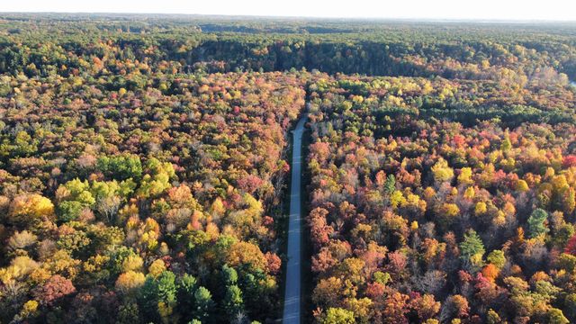 6987 S Pine Avenue, Newaygo, MI 49337