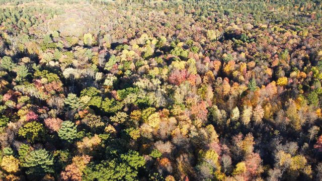 6987 S Pine Avenue, Newaygo, MI 49337