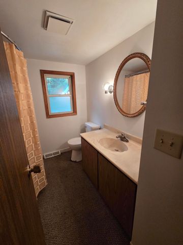 6987 S Pine Avenue, Newaygo, MI 49337