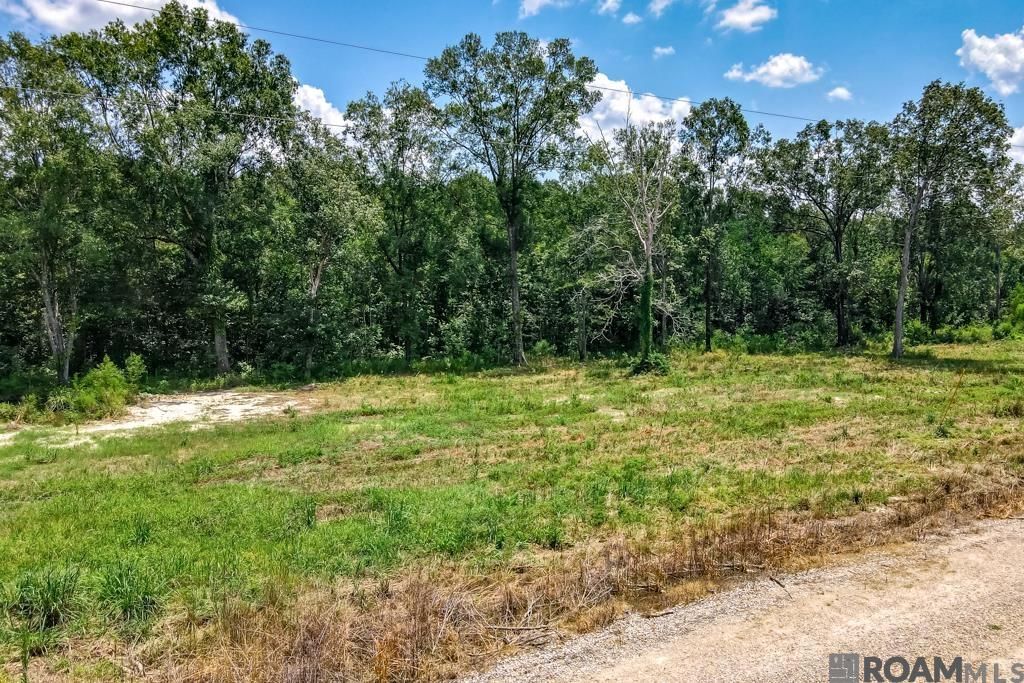 TBD 1 Tennant Ln, Zachary, LA 70791