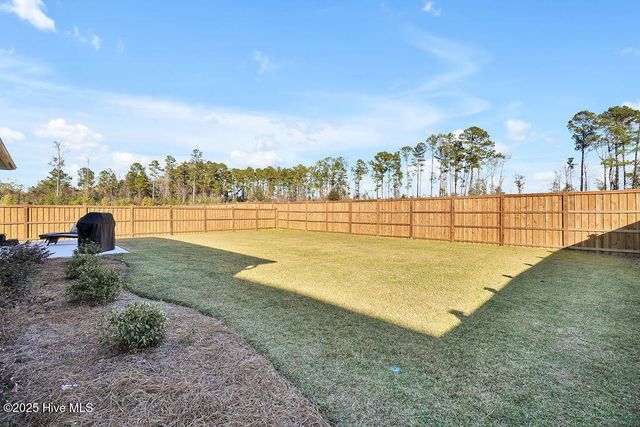 1031 Sandy Heights Loop, Leland, NC 28451