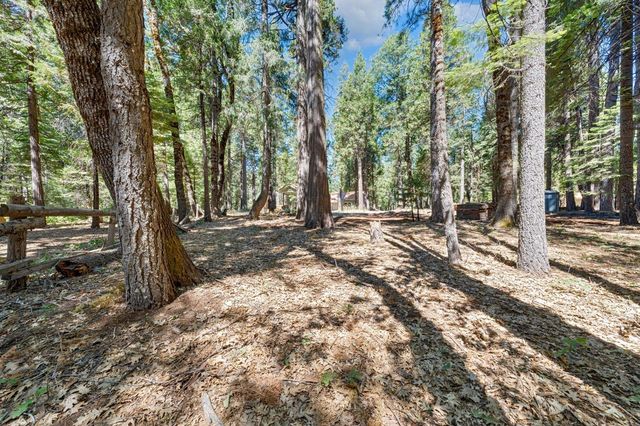 740 Hide Away Loop, Alta, CA 95701
