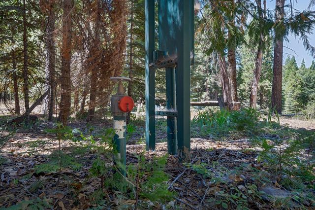 740 Hide Away Loop, Alta, CA 95701