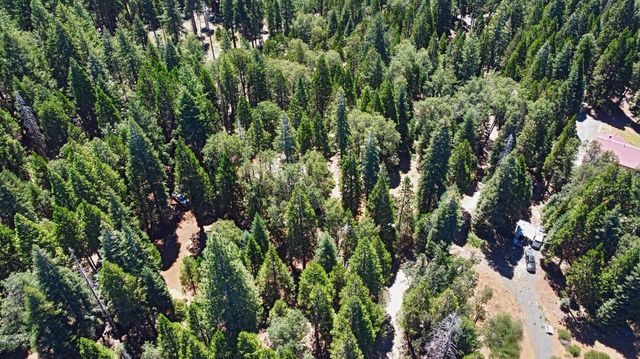 740 Hide Away Loop, Alta, CA 95701