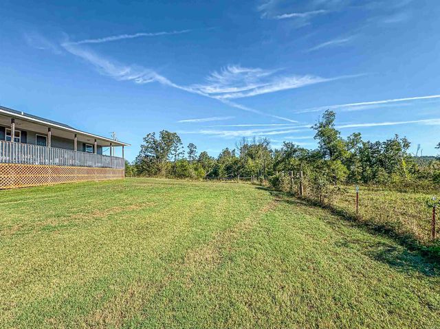 1706 MC 4006, Yellville, AR 72687