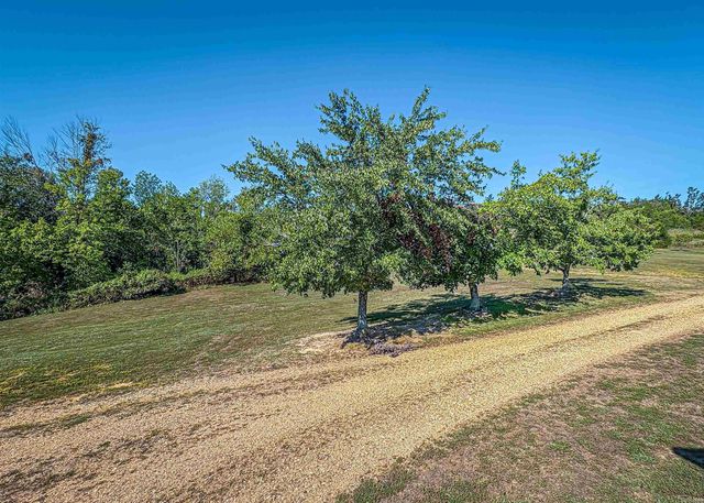 1706 MC 4006, Yellville, AR 72687