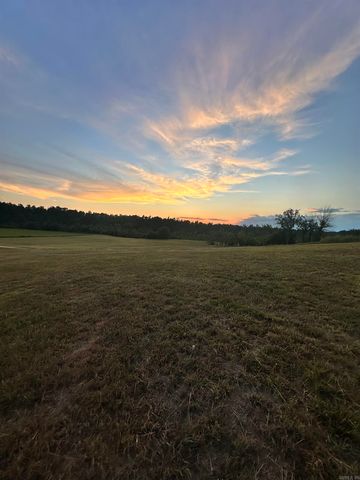 1706 MC 4006, Yellville, AR 72687