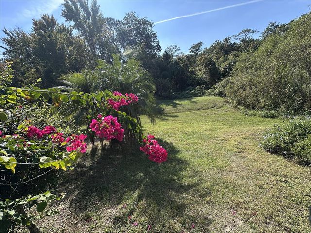 515 WHITTIER STREET, Davenport, FL 33896