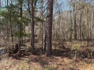 1443 Orangeburg Road, Summerville, SC 29483