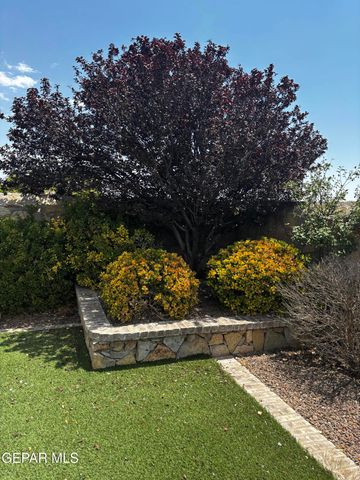 14200 RAINBOW POINT Drive, El Paso, TX 79938