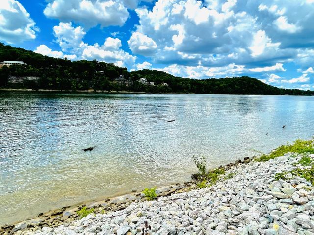 88 River Front Drive, S, Clifton, TN 38425