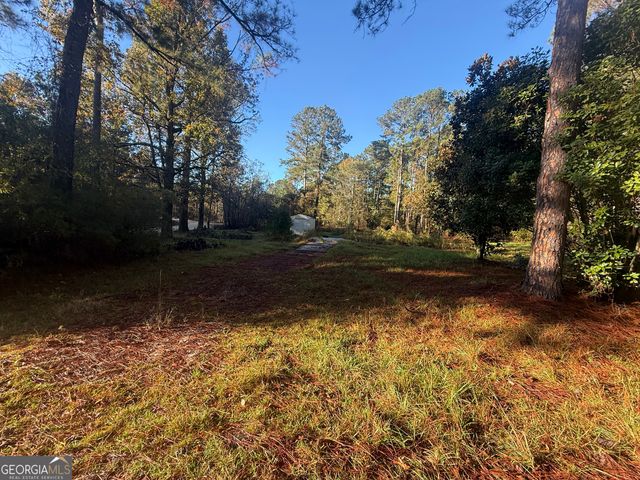 201 Waters Grove Road, Sylvania, GA 30467