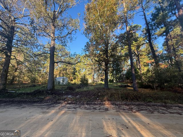 201 Waters Grove Road, Sylvania, GA 30467