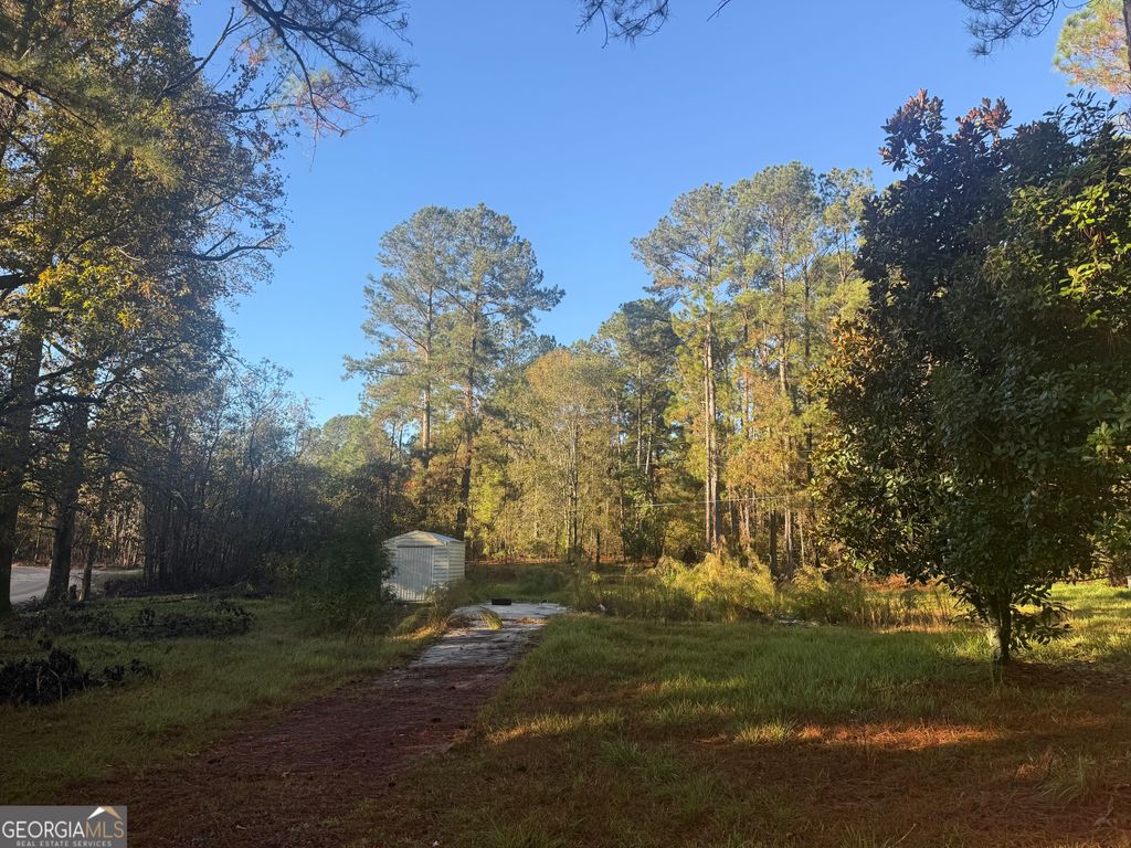 201 Waters Grove Road, Sylvania, GA 30467