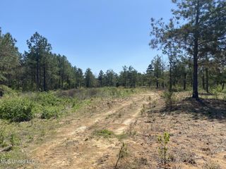 6479 Ms-4, Holly Springs, MS 38635