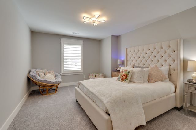 5036 High Park Hill Dr, Arrington, TN 37014