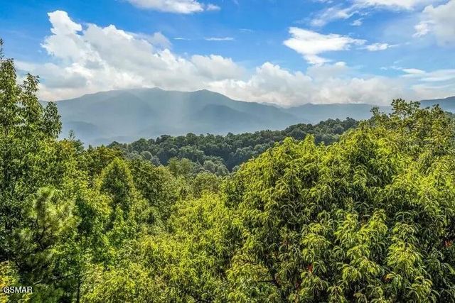 1109 Ski View Drive, Gatlinburg, TN 37738
