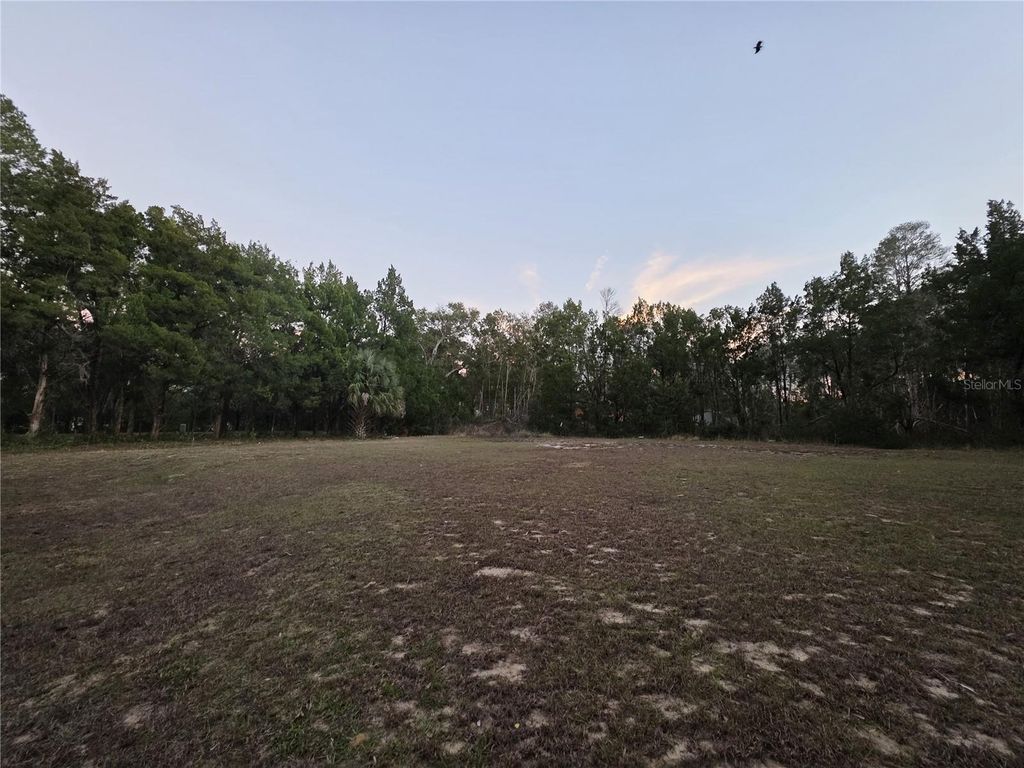Image 31 of property listing at 36014 LAKE UNITY NURSERY ROAD, Fruitland Park, FL 34731