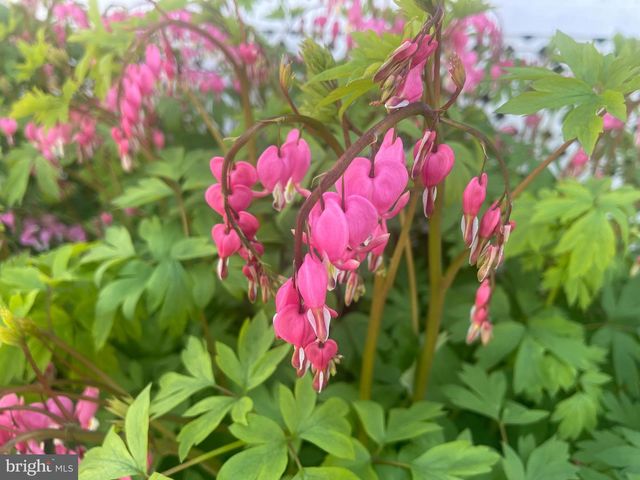 201 CHARLES RD, Linthicum Heights, MD 21090