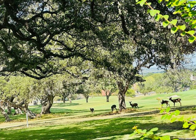 29342 Ridgeview, Boerne, TX 78015