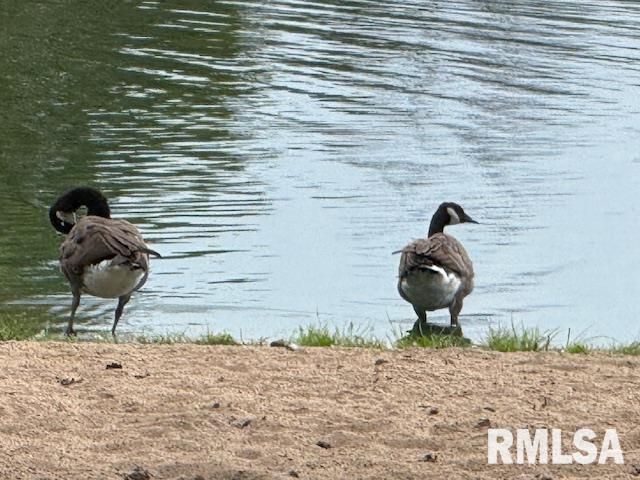 84 S New Thompson Lake Road, Carbondale, IL 62901