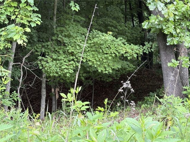 Glenwood Lane, Bella Vista, AR 72715
