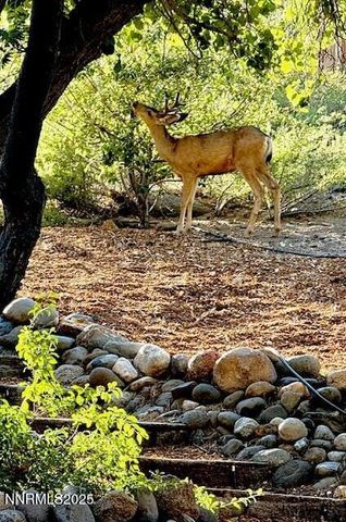 80 Bobcat Drive, Reno, NV 89523