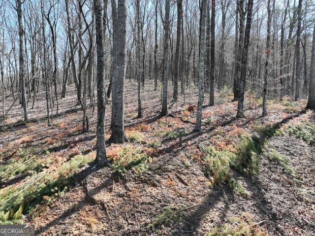 180 Trailwood Drive, Ellijay, GA 30536