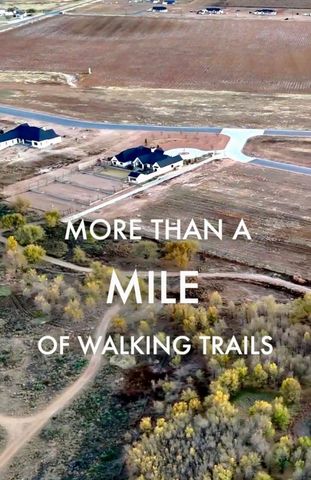 8118 County Rd 6050, Shallowater, TX 79363